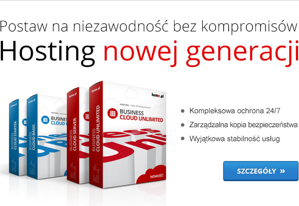 Hosting dla firm promocja